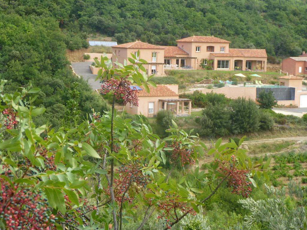 Domaine De Flo Adult A Partir De 16 Ans Bed & Breakfast Saint-Jean-de-la-Blaquiere Bagian luar foto